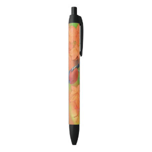 Caneta Preta Orchard Oriole Songbird Pintura Original
