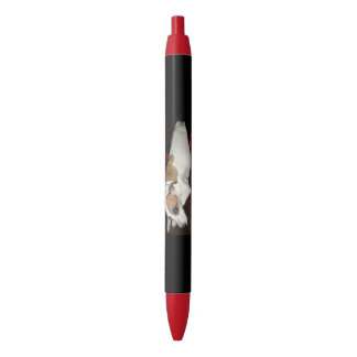 Canetas antigas do segredo de Shinese