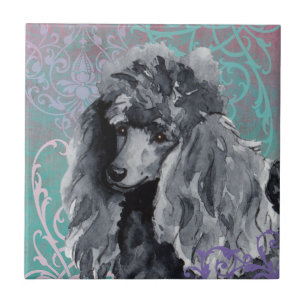 Caniche diminuta elegante