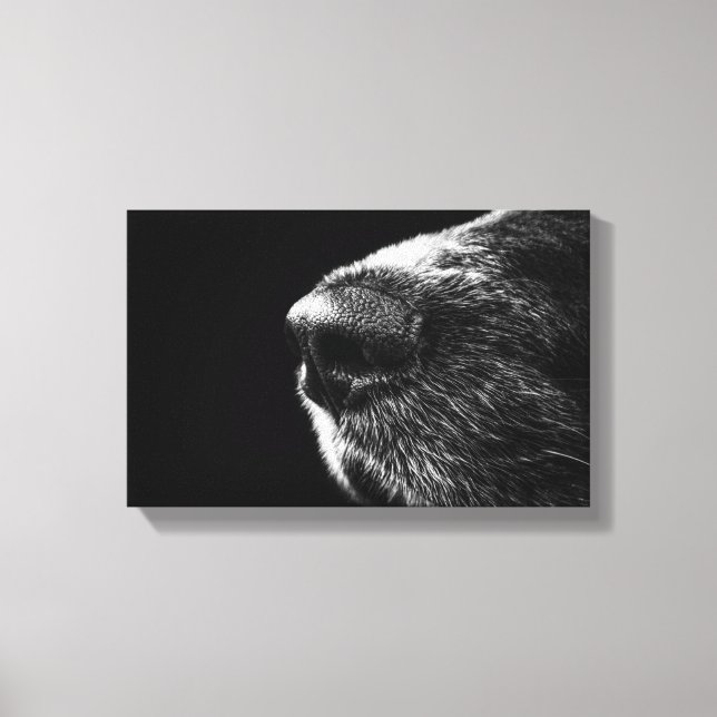 Canina Canvas (Frente)