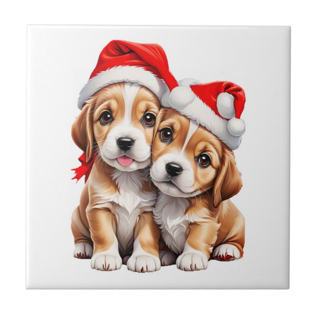 Canina de Natal (Frente)
