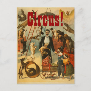Canine Circus - Cartão postal nº 2
