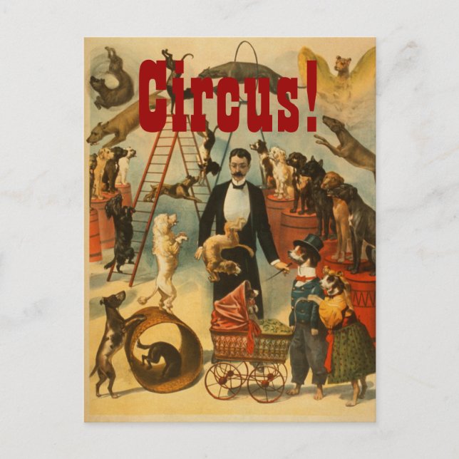 Canine Circus - Cartão postal nº 2 (Frente)