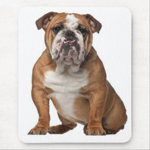 Canine Mousepad Inglês Bulldog