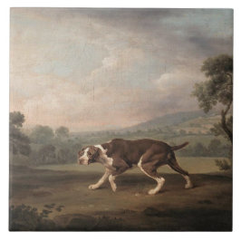 Canino Espanhol (por George Stubbs)