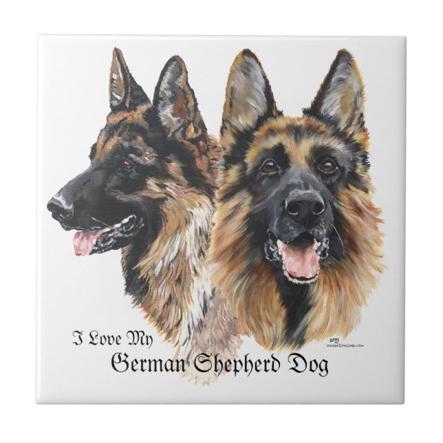 Caninos german shepherd (Frente)
