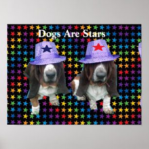 Caninos poster são estrelas