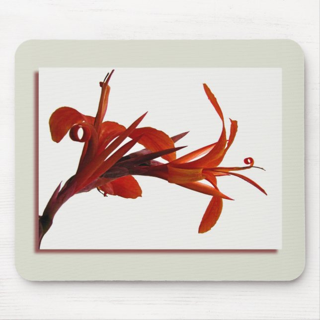 Canna Mousepad (Frente)