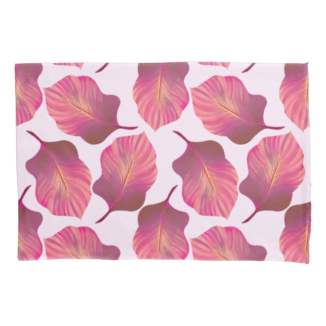 Canna Tropicanna sai de cor-de-rosa (Frente)