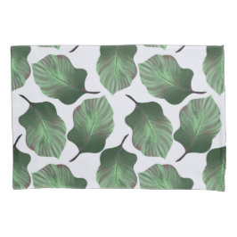 Canna Tropicanna Tropical Leaves, Verde