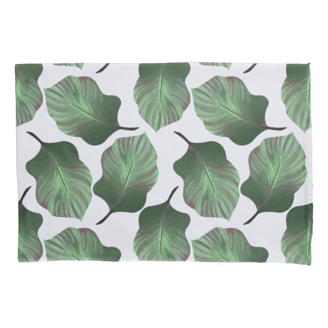 Canna Tropicanna Tropical Leaves, Verde (Frente)