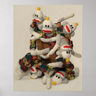 Cano dos Macacos poster