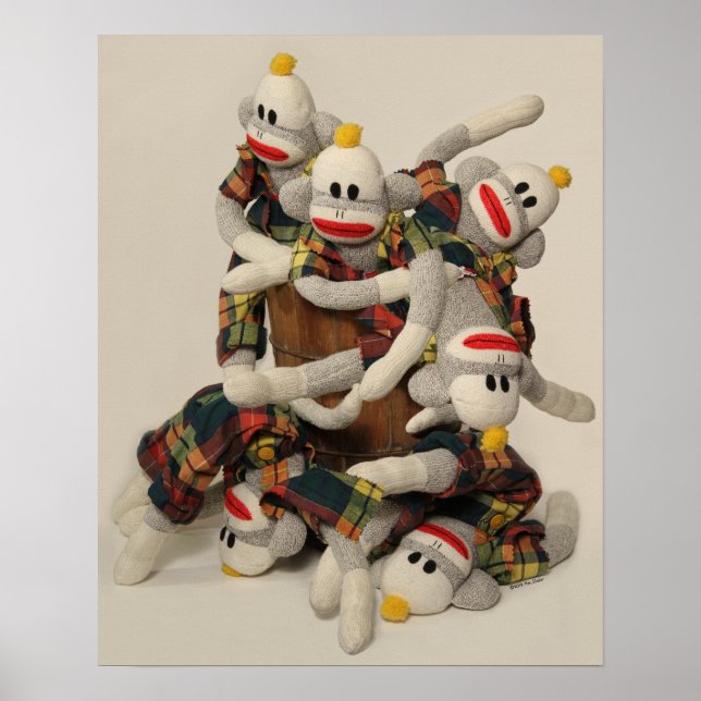 Cano dos Macacos poster (Frente)