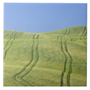 Canse trilhas no campo de trigo, d'Orcia de Val,