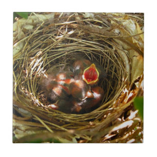 Cante para fora o azulejo da arte