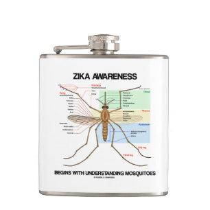 Cantil A consciência de Zika começa a compreender