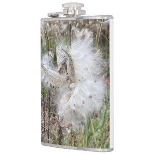 Cantil Abra Milkweed Pods   Sementes de Seda  