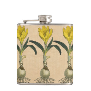 Cantil Amaryllis Tulip Botanical Garden Flower