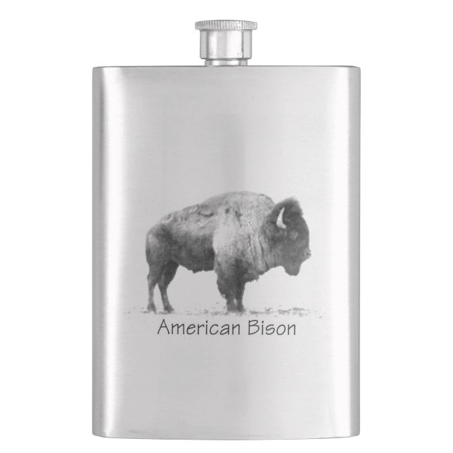 Cantil American Bison (Frente)