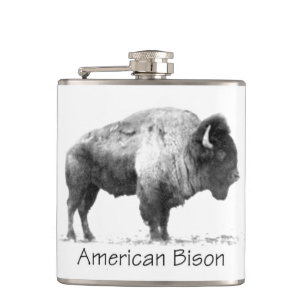 Cantil American Bison