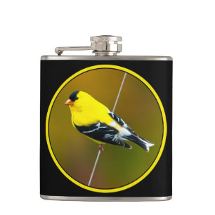 Cantil American Goldfinch - Fotografia original