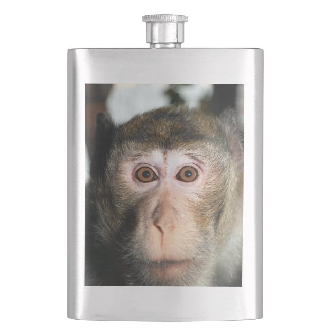 Cantil Ape da Floresta Tropical Ameaçada (Frente)