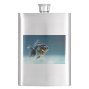 Cantil Aquatic Fish Carassius