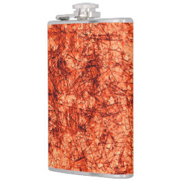 Cantil Arranhões num fundo coral ligeiramente visto