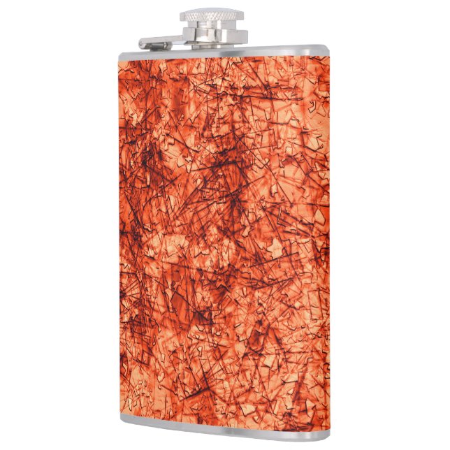 Cantil Arranhões num fundo coral ligeiramente visto (Esquerda)