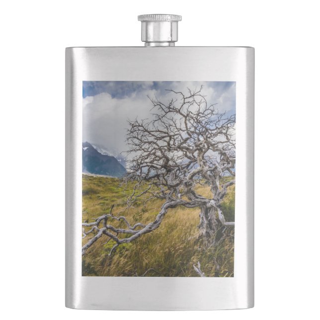 Cantil Árvore queimada, Torres del Paine, Chile (Frente)