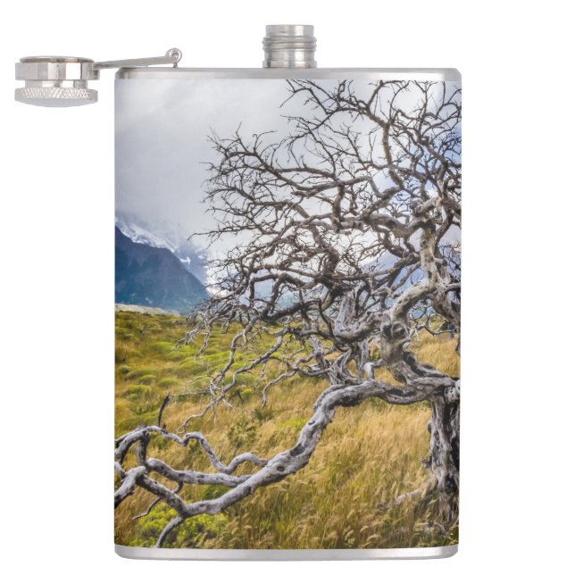 Cantil Árvore queimada, Torres del Paine, Chile (Aberto)