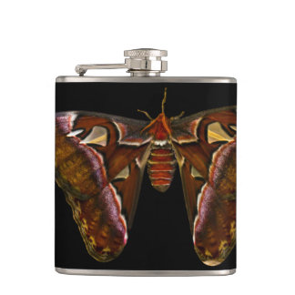 Cantil Atlas Moth - Snake Head