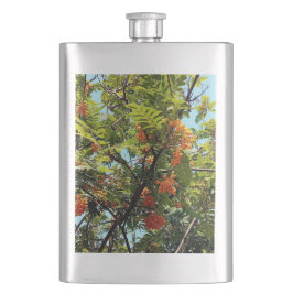 Cantil Bagas de laranja