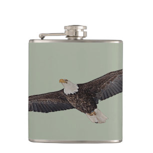 Cantil Bald Eagle Soaring