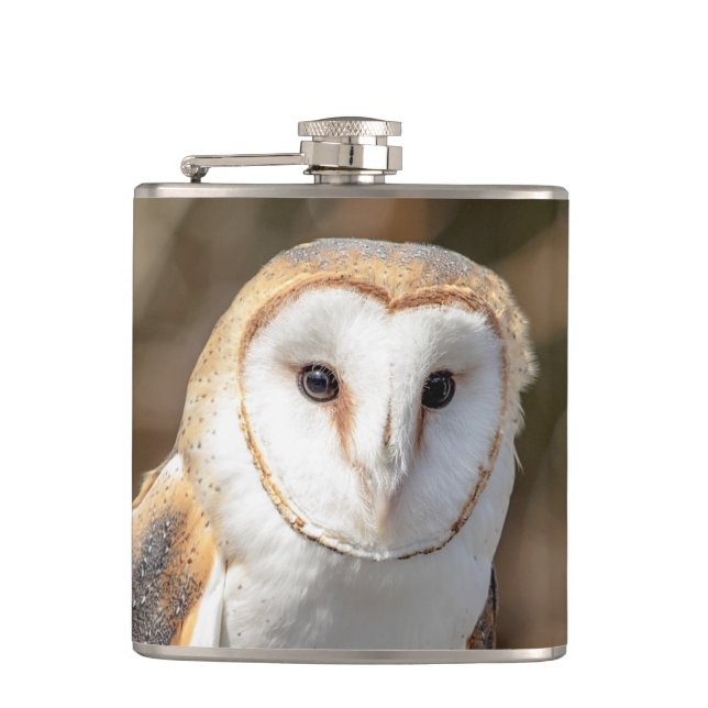 Cantil Barn Owl (Frente)