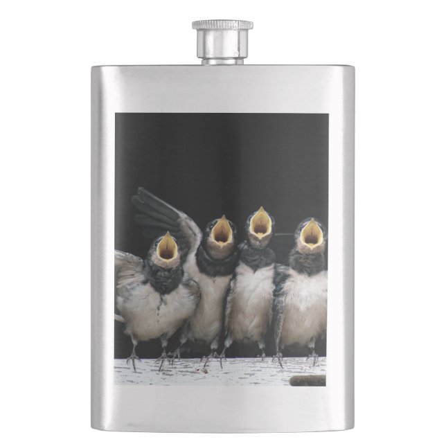 Cantil Barn Swallow Singing (Frente)