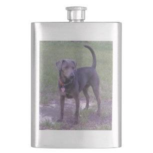 Cantil blue lacy completo