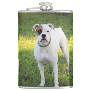 Cantil Boxer
