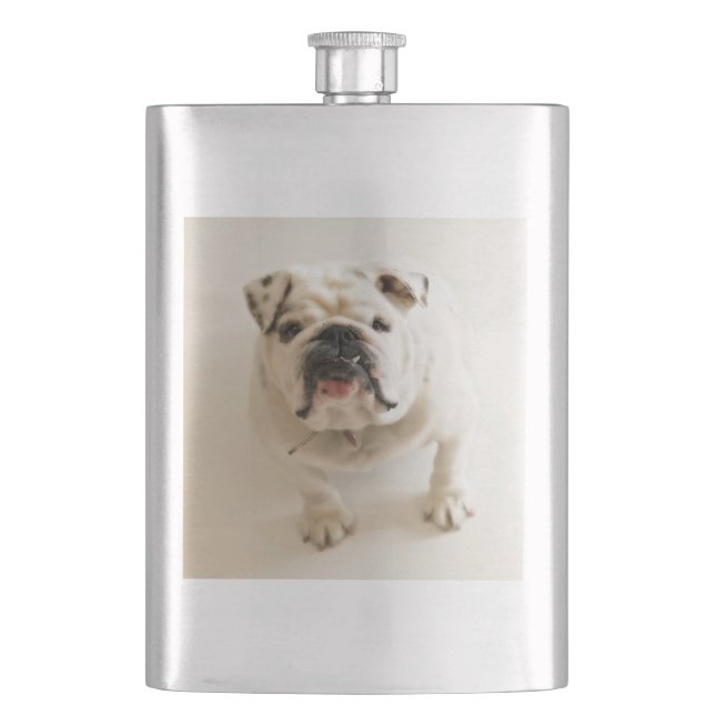 Cantil branco de buldogue (Frente)