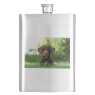 Cantil Brown Dachshund Puppy
