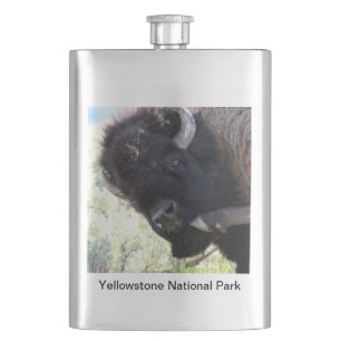 Cantil Buffalo Americano no Parque Nacional de Yellowston