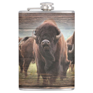 Cantil Buffalo Herd