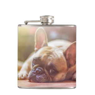 Cantil buldogue francês deitado