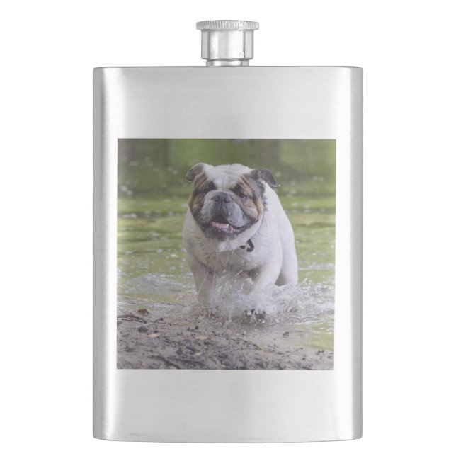 Cantil buldogue na água (Frente)