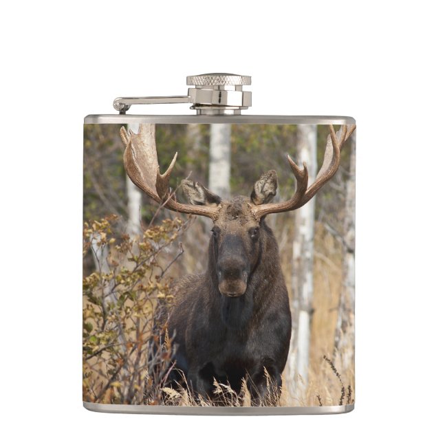 Cantil Bull Moose Impressionante (Frente)