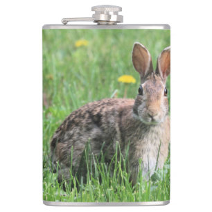 Cantil Bunny