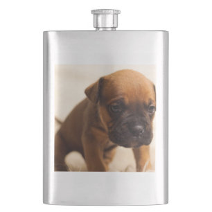 Cantil cachorrinho