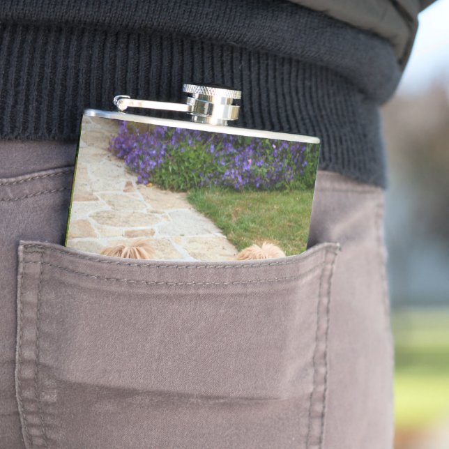 Cantil Cachorro Red Lhasa Apso em um animal de jardim com (In Situ)