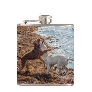 Cantil Cães na praia