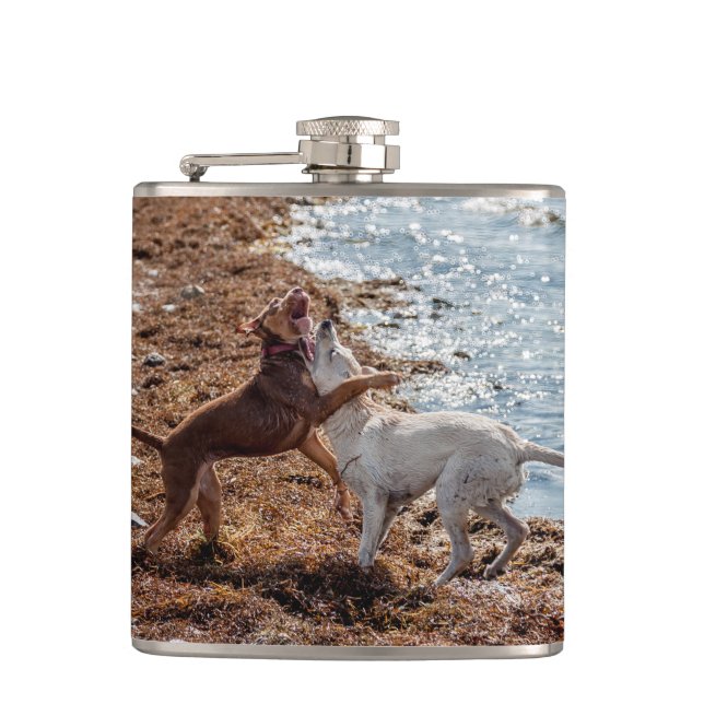 Cantil Cães na praia (Frente)